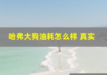 哈弗大狗油耗怎么样 真实